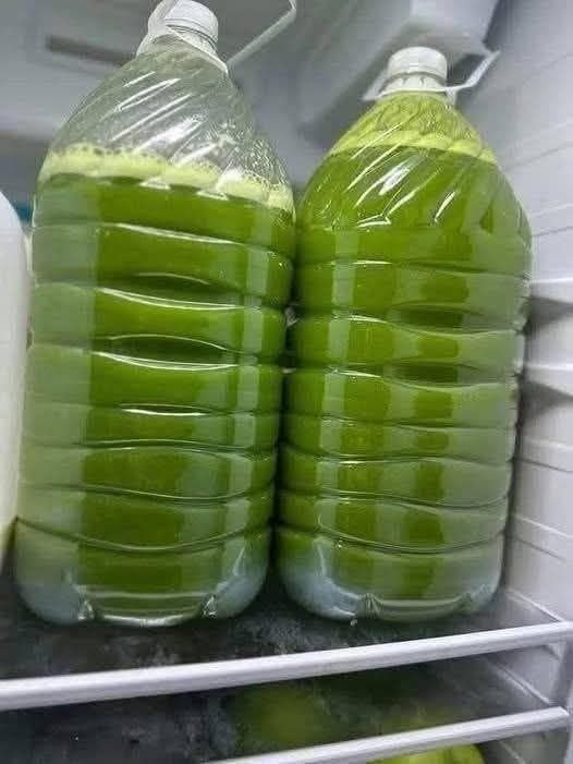 Celery Jive